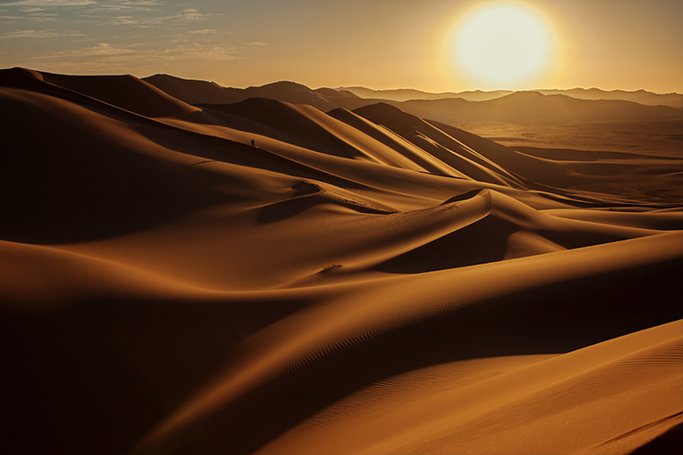 Sunset in Sahara Desert.  Credit: © Anna Gibiskys, Shutterstock