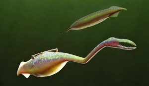 A reconstruction of the Tully Monster as it would have looked 300 million years ago, swimming in the Carboniferous seas. Notice the jointed proboscis, the multiple rows of teeth, and the dorsal eye bar. Credit: © Sean McMahon, Yale University
