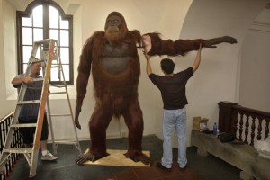 George York, right, designer of the Gigantopithecus replica, attached an arm on his creation after installing it at the Museum of Man in Balboa Park, Monday morning while assistant Wayne Stone, left, looked on. The primate is part of the new Footsteps Through Time exhibit. Credit: © ZUMA Press/Alamy Images