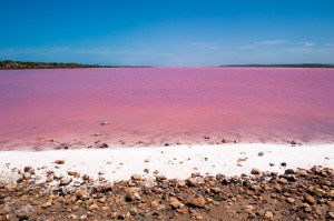 Pink Salt Lake in Western Australia. Credit: © Rob Bayer, Shutterstock
