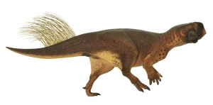Model of Psittacosaurus Based on Skin and Pigmentation. Credit: © Jakob Vinther, Robert Nicholls, Stephan Lautenschlager, Michael Pittman, Thomas G. Kaye, Emily Rayfield, Gerald Mayr, Innes C. Cuthill/Univerity of Bristol