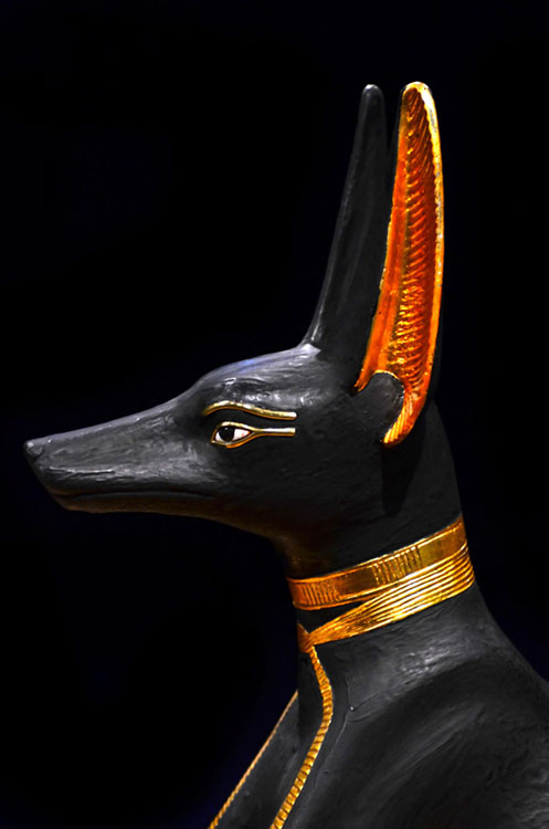 Anubis was the god of mummification and the afterlife in ancient Egypt. He often appeared in artwork with the head or head and body of a jackal. This statue of Anubis was found in King Tutankhamun's tomb. Credit: © Prisma/Alamy Images