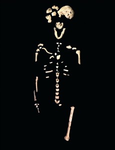 The “Neo” skeleton. Homo naledi stood about 150cm tall fully grown and weighed about 45kg. Credit: © John Hawks, Wits University