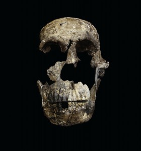 The “Neo” skull, a nearly complete adult Homo naledi skull found in the Lesedi Chamber. Credit: © John Hawks, Wits University