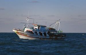 A stern trawler, shown in this photograph, drags a funnel-shaped net attached by two long towing cables to the back of the vessel, called the stern. The vessel drags the open net through the water, capturing fish. Credit: © Colin Munro, Alamy Images