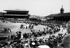Grand Parade in the main arena of the Exhibition Ground, Brisbane, 1948 - The Grand Parade is where the exhibitors of livestock get to show the Brisbane community their pride and joy. Credit: State Library of Queensland