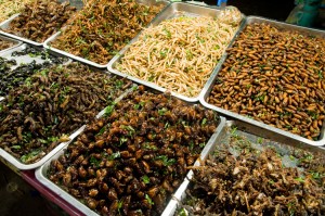 Insects sold as snacks at a market in Thailand. Credit: © Thor Jorgen Udvang, Shutterstock