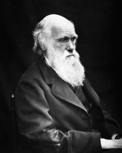 Charles Darwin, a British naturalist, became famous for his theories on evolution. Darwin, shown in this photographic portrait, believed that all species of plants and animals had evolved (developed gradually) over millions of years from a few common ancestors. Credit: © Time Life Pictures, Getty Images