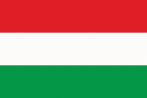 Hungary flag Credit: © Maximumvector/Shutterstock