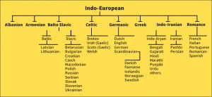 Click to view larger image Indo-European is the most widespread language family today. About half the people in the world speak a language of this family. Scholars divide the Indo-European languages into several groups, such as Balto-Slavic, Germanic, and Romance. Credit: WORLD BOOK diagram