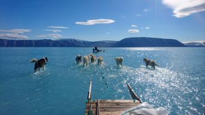 A Danish meteorological team travels across submerged sea ice in Greenland’s Inglefield Bredning fjord on June 13, 2019. Greenland lost sea ice at an alarming rate during the year. In July alone, the island lost more sea ice than it normally does in a year. Credit: Steffen M. Olsen, Danish Meteorological Institute