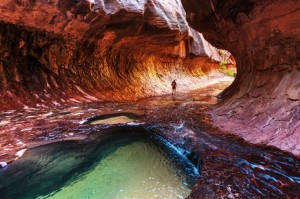 The Narrows in Zion National Park, Utah. Credit: © Galyna Andrushko, Shutterstock 