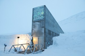 exterior of the Svalbard Global Seed Vault, located on the Norwegian island of Spitsbergen. credit: Mari Tefre, Svalbard Global Seed Vault