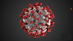 This illustration, created at the Centers for Disease Control and Prevention (CDC), reveals ultrastructural morphology exhibited by the 2019 Novel Coronavirus (2019-nCoV). Note the spikes that adorn the outer surface of the virus, which impart the look of a corona surrounding the virion, when viewed electron microscopically. This virus was identified as the cause of an outbreak of respiratory illness first detected in Wuhan, China. Credit: Centers for Disease Control and Prevention (CDC)