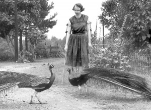 Flannery O'Connor credit: Will Schofield (licensed under CC BY 2.0)