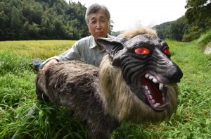 A rural official in Japan shows off a mechanical Monster Wolf, invented to frighten away wildlife. Credit: © Toru Yamanaka, Getty Images