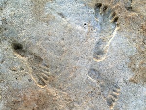 Fossilized human footprints that a White Sands National Park program manager first discovered. Credit: © Dan Odess