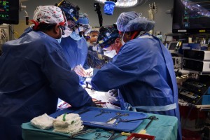 Surgeons performed an eight-hour procedure to transplant a genetically modified pig’s heart into a human on Jan. 7. Credit: University of Maryland School of Medicine
