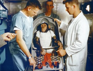 Ham, chimpanzee sent into space Credit: MSFC/NASA